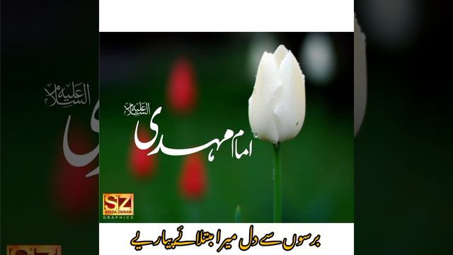 Ya Mehdi A.s Janam Manqabat || By || M.Qamar Mehdi ||#manqabat #kalam #yamehdi