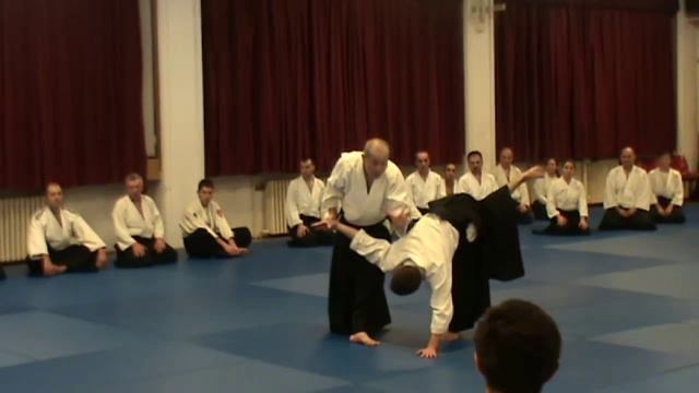 Хироюки Сакураи. Семинар айкидо. Белград, Сербия (2016; ч 3)