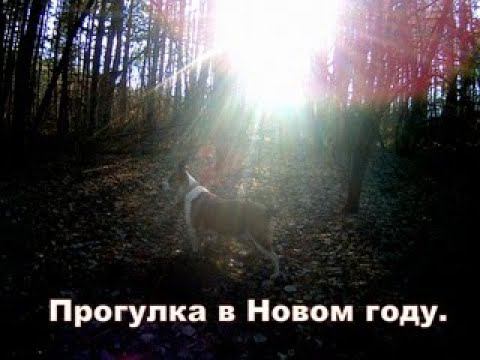 Прогулка в новом году смотреть онлайн