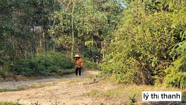 My Mother-in-law Knows My Current Whereabouts - What Will Happen Next?#lythithanh #singlemother