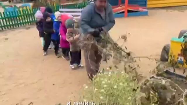 Один день из жизни детского сада. ДОУ 96 Чита смотреть онлайн