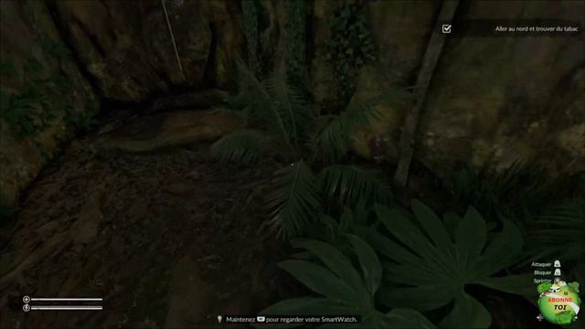 GREEN HELL GAMEPLAY FR PS4 PS5 смотреть онлайн