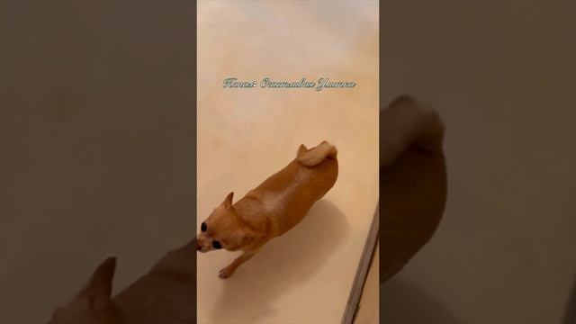 Ремонт коридора смотреть онлайн