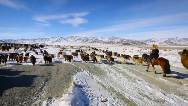 A2_U4_A different kind of journey_Great_Learners_Great_Thinkers_video смотреть онлайн