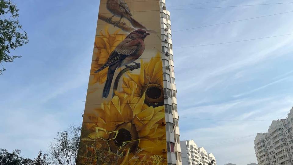 Муралы на фасадах многоэтажек смотреть онлайн