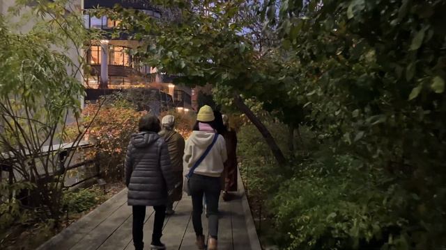 NEW YORK CITY Walking Tour [4K] - THE HIGH LINE ... Night Walk смотреть онлайн