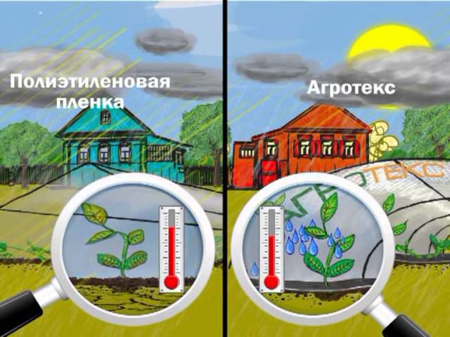 Мультфильм Агротекс смотреть онлайн