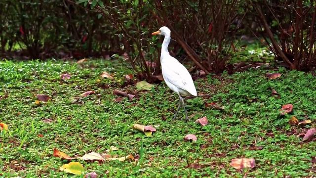 Всем доброго утра и хорошего дня! смотреть онлайн