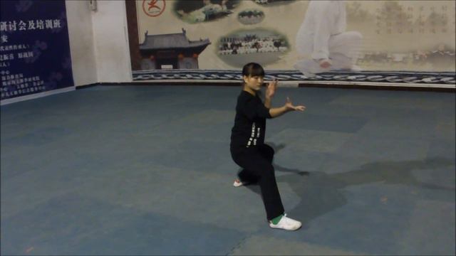 Chen Shi Taijiquan Wang Xian Style - Gao Jiayi смотреть онлайн