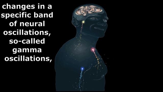 What Does the Brain Think Right Before Death- What Happens Just Before Death- Dying Human Brain Sca смотреть онлайн