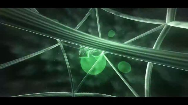 intro limonchik in honor of 50 subscribers смотреть онлайн
