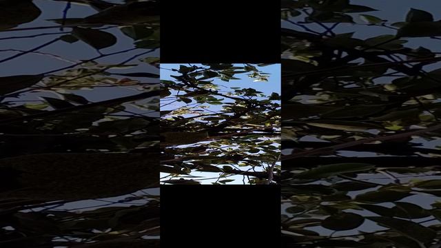 20240927_082607.mp4 смотреть онлайн