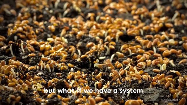What is Regenerative Agriculture? | How it will change our future? | Global Crisis смотреть онлайн
