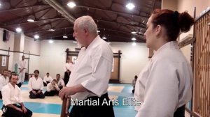 Стефан Бенедетти. Симинар айкидо айкикай (С.-Петербург; 10-12.02.2017)