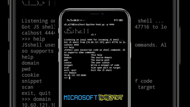 Microsoft Honeypot 101 : MSExchange CVE-2021-26855 ProxyLogon | WebShell смотреть онлайн