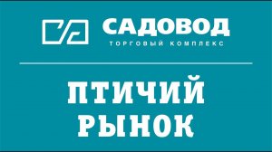 Птичий рынок, павильон с собаками