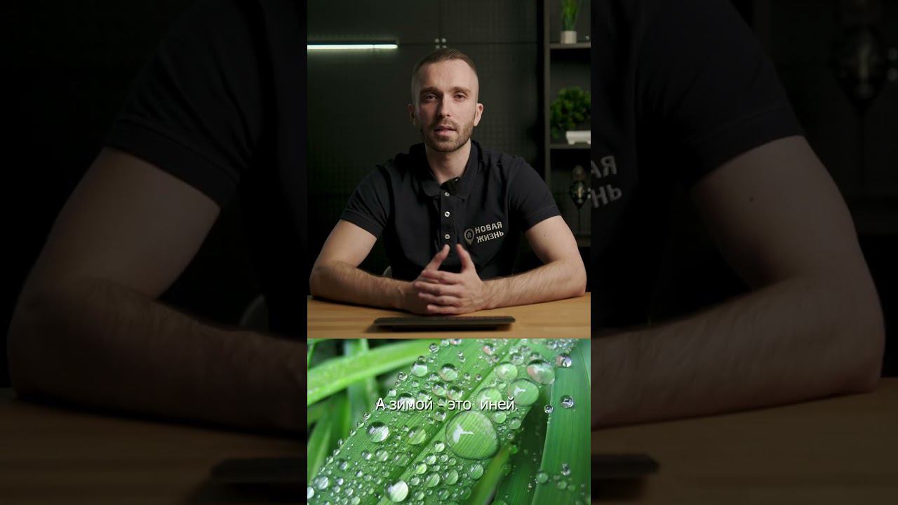 Что такое точка росы и почему она вызывает плесень? смотреть онлайн