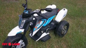 Детский трицикл Moto YHI7375 (Tpyland)