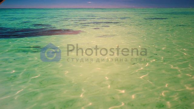 Самоклейка матовая - Photostena.ru