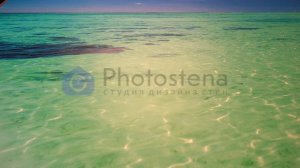 Самоклейка матовая - Photostena.ru