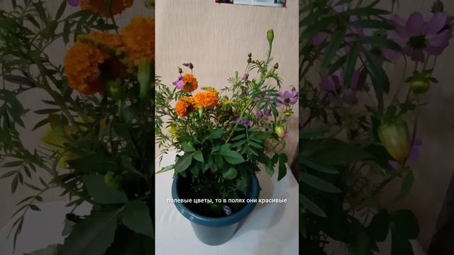 БУКЕТ не в радость...