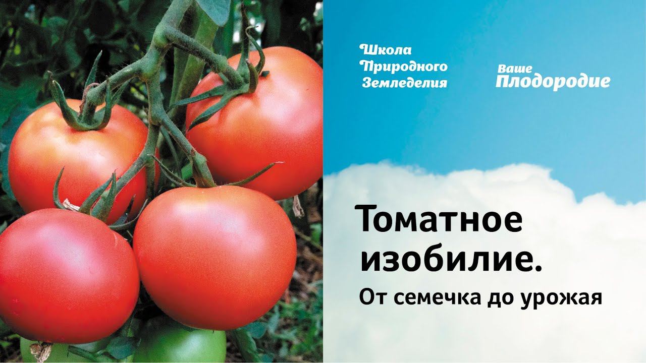 Томатное изобилие. От семечка до урожая смотреть онлайн