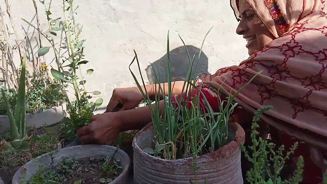 The Village Style Traditional Food Cooking is The Last Time For This Recipe | Village Food Recipe смотреть онлайн