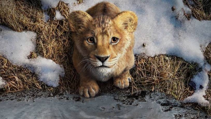 Муфаса: Король Лев - Русский трейлер (Дубляж) смотреть онлайн