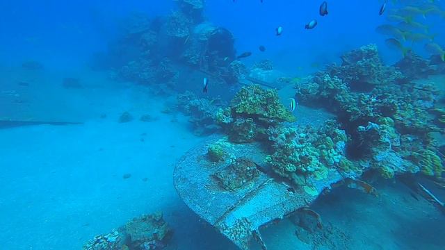 Curtiss SB2C Helldiver Wreck Dive - Maui - Scuba 1 of 2 смотреть онлайн