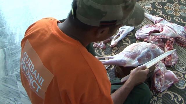 Over 5 Million Meals Provided | Donate your Qurbani смотреть онлайн