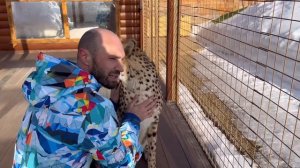 Новости о гепарде Герде. Результаты осмотра и анализов.