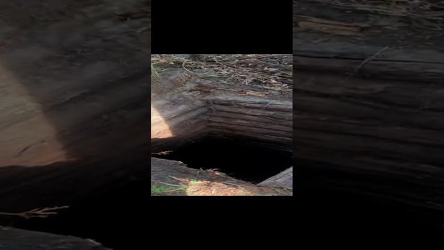 ремонт колодца