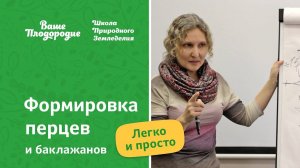 Формировка перцев и баклажанов — легко и просто