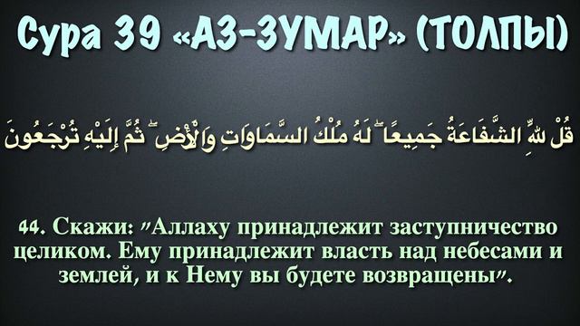 Сура 39 аз-Зумар (арабские и русские титры) - Мухаммад Люхайдан