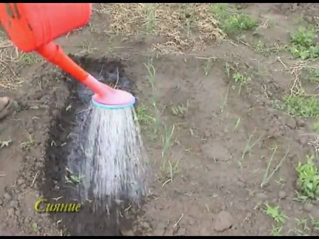 весна 3 смотреть онлайн