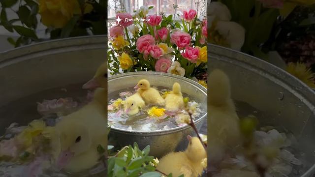 эстетика смотреть онлайн