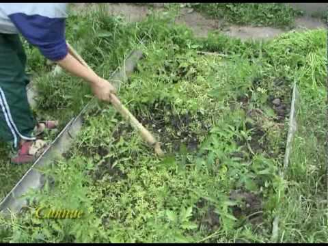 весна 10 смотреть онлайн