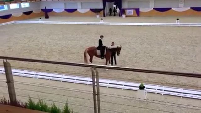 Florinas Bionda 2012 mit Edward Gal смотреть онлайн