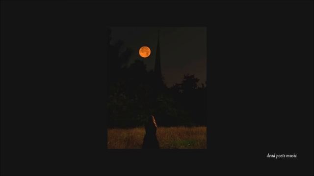 you saw him after you found out who he is | dark academia classical music смотреть онлайн