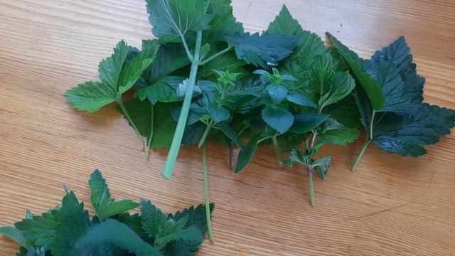 Анонс на 200! смотреть онлайн