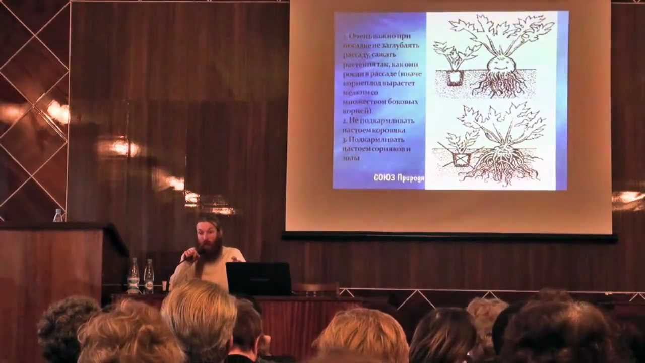 Грядка сельдерея за пару часов смотреть онлайн