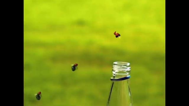 Minuscule - The Last Supper смотреть онлайн