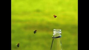 Minuscule - The Last Supper