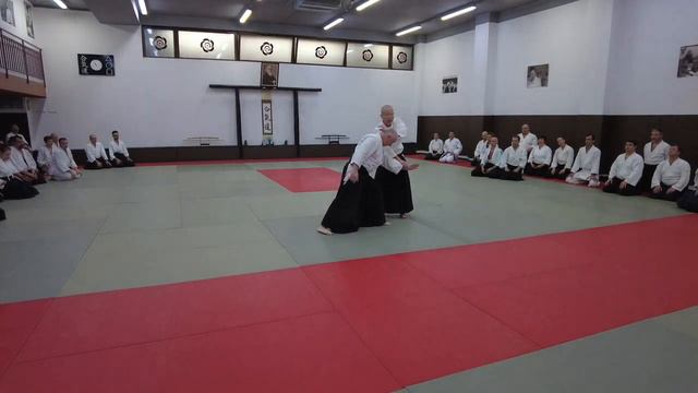 Хироюки Сакураи. Международный семинар айкидо. Клуж-Напока, Румыния (2023) - 2 Семинар