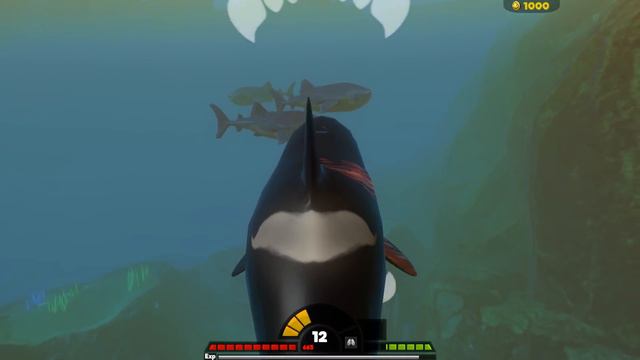 Aku Berhasil Kalahkan MEGALODON - Fish Feed And Grow смотреть онлайн