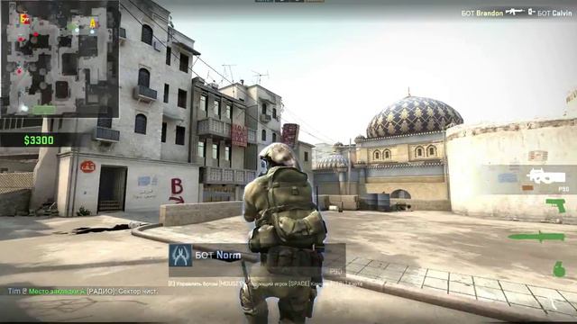 CS:GO играю с ботами смотреть онлайн