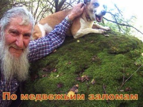 По медвежьим заломам смотреть онлайн