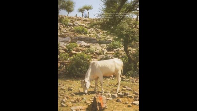 TTS Mahabharata 2003 - 2.02 - Sikhandi's Destiny смотреть онлайн