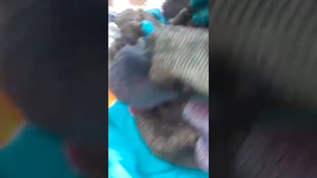 Ходим за покупками мини влог смотреть онлайн