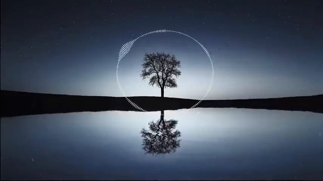 Anas Otman & HAVANA   Lost You  ◆instrument Remix◆
